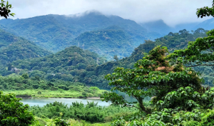 屈尺古道，小粗坑發電廠，小粗坑生態綠廊步道，景美河濱公園，景美公園，十四張歷史建築園區，新店陽光運動公園，陽光橋，中山公園（奇蹟公園）