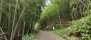 2026/05/01 苗栗鐘樓古道