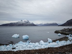 [紐約馬之行-48] 2025_1108 努克環狀步道 5/5