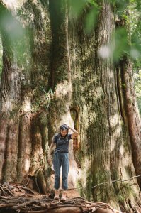 羅馬縱走、優美神木、兩天一夜