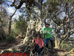 水田林道、狂風嶺、北得拉曼神木、內鳥嘴山、貴妃山O型走