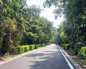 新屋綠色走廊自行車道一日遊，觀海路與新屋福興宮的路段，有免費停車暢、公廁和租車處，對到此旅遊的遊客相當方便，這綠色隧道沿途都有綠蔭，所以到這騎自行車的朋友不會覺得過於炎熱，非常適合全家大小朋友來遊玩。