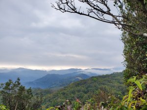 三峽白雞山，雞罩山前峰，雞罩山