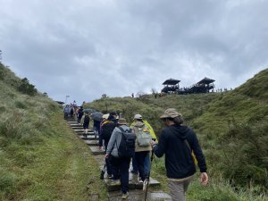 《2025草嶺古道芒花季｜雨天版完整攻略 × 七顆寶石路線實走》