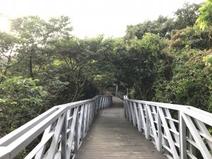 【山系野遊】小而美林梢步道