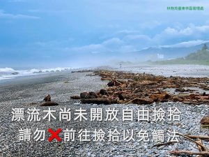【新聞】臺東市、知本地區少量漂流木滯留 公告撿拾前切勿以身試法