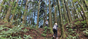 鳥嘴山步道-2025/06/07