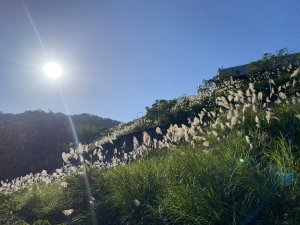 2025微笑山線大縱走尋寶集章任務-Ep.04【天上山系】望月亭桐花段｜石門內尖山東峰 ×石門內尖山 × 十八羅漢岩