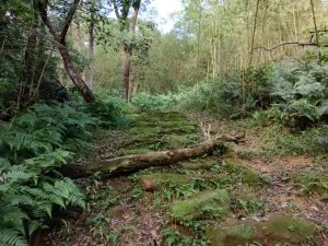 五堵獅頭山無菸步道