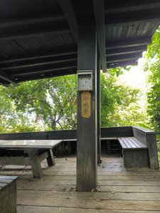 20250809樹迴縱走