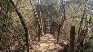 【臺中】潭子新田登山步道｜聚興山｜小百岳