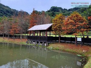 【台北市】原住民文化主題公園賞落羽松&志成公園賞梅