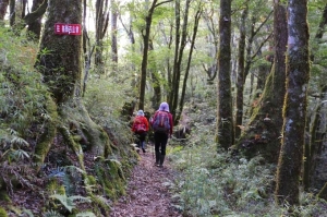 【新竹】尖石後山之養老、基那吉山來回走