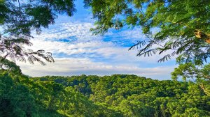 【萬里長城】台中大肚萬里長城步道，夕陽、海景，親民步道假日親子共遊踏青好去處。