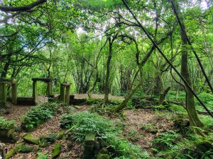 富士坪古道，大尖聚落，富士坪山，林市古道，瑞泉溪畔步道