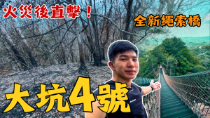 大坑4號「大魔王」正式回歸！直擊全新33米繩索跨越橋與火燒山後路況更新
