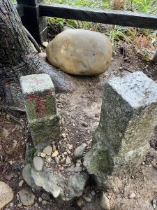 頭嵙山 大坑步道