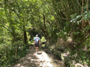 《探訪內雙溪三圳流向｜大崎頭步道 × 鵝尾山》