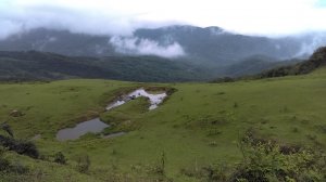 [東北角生態步道小旅行] 桃源谷步道(內寮線&大溪線)一日遊