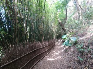 橫嶺古道-湖山國小步道