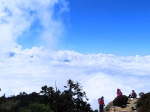 東埔上郡大山下龍貓公車(上)