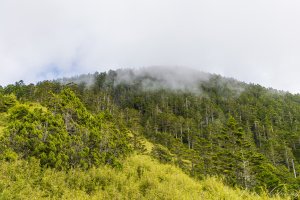 [百岳]中橫特辣白姑大山