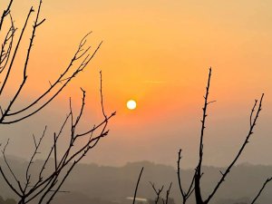 20251213 高雄觀音山15連峰🤔一直走不回頭繞