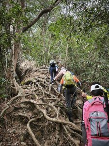 [台中] 唐麻丹山 + 蝴蝶谷瀑布