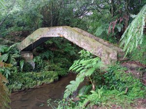 雙溪區虎豹潭古道+竹子山古道+鄒家古厝+橫山(遇雷雨撤退)+樓仔厝古道O型