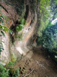 2026微笑山線大縱走尋寶集章任務微笑山線：【鳶山山系】鳶山彩壁段