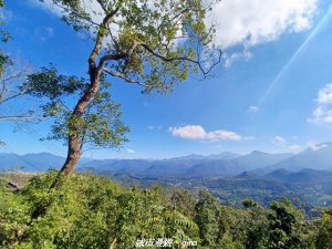 【南投魚池】郊山好視野。 金龍山(槌仔寮山)步道