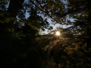 閂山、鈴鳴山