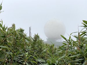 2023/12/14 碇內尖山 龍門山 五分山 淡蘭古道中路