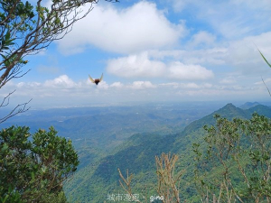 【苗栗獅潭】登頂前的陡坡攀爬很有感。 仙山登山步道