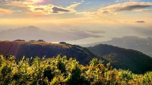 台北大縱走第一段加碼版，忠義山，下青礐步道，向天山，面天山，順遊北投三層綺花海，楓樹湖古道