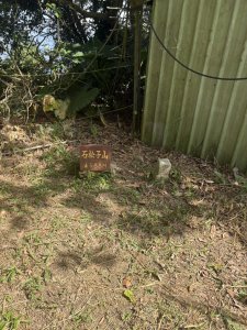 20251025南化龍湖寺至紫竹寺O繞(石松子山.大竹崙山.竹子尖山)