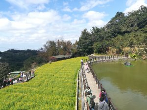 台北大縱走第七段:政大—指南宮—茶展中心—樟山寺—政大