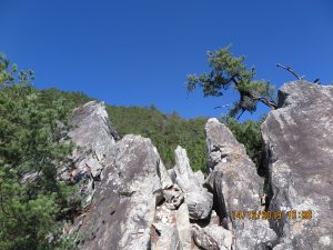 德芙蘭步道 東卯山東南稜 O型