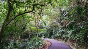 百吉林蔭步道，溪州山古道，舊百吉隧道，探訪白石山古道，順遊土城明德公園（明德山），公館溝觀光步道（希望之河）