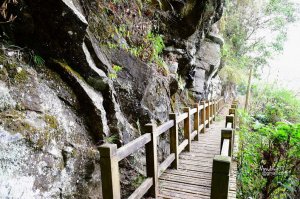 【嘉義】夏季觀瀑冬望峭壁—里佳觀瀑步道(里美步道)