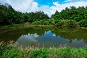 ❤ 台中-和平 ≡ 船形山、鞍馬山步道（小雪山段國家步道）