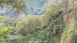 《彰化》稜線雙龍｜田中森林登山步道O型
