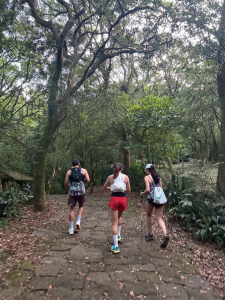 【編輯實測】三條路線、三次登頂，走完才知道七星山有多硬派