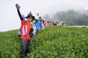 雲嘉七連峰 - 山走的也許會辛苦  但也可以走的如此很快樂