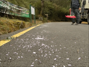 【新聞】呼籲登山健行的團體勿再於步道上灑碎紙花