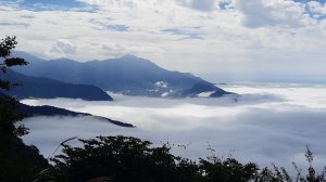 《新竹》幸福雲海｜鵝公髻山步道