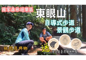 東眼山自導式步道-景觀步道|高聳柳杉林芬多精森林浴|東眼山國家森林遊樂區[桃園復興]