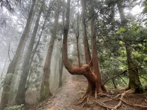 馬崙山