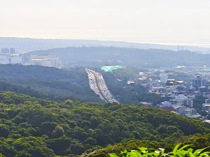 [皮皮獅動物派對-02/10] 2026_0815 仁和步道、金獅古道
