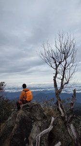 Vincent Tseng的頭像